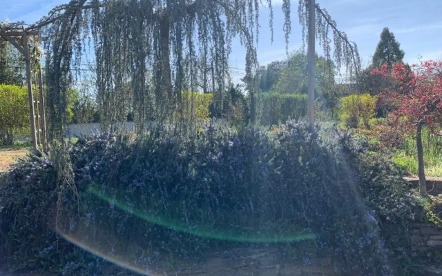 La Grenouillere (Adults Only)