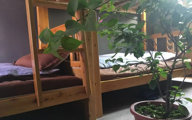 Chengdu Tribe Youth Hostel