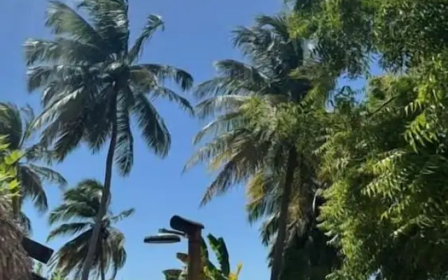 Guajiru kite Safari