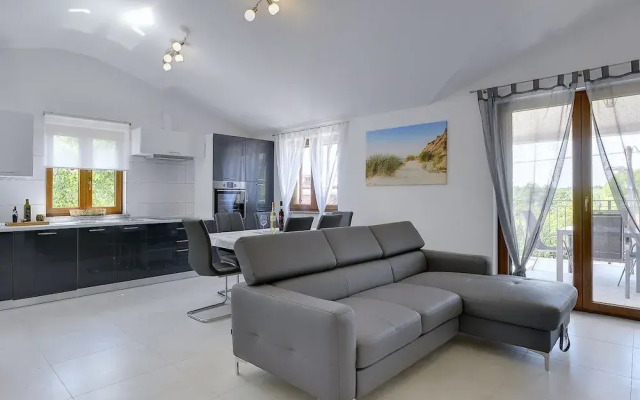 Modern Holiday Home With Pool in Pazin