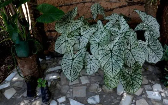Recanto do Rei Chalés