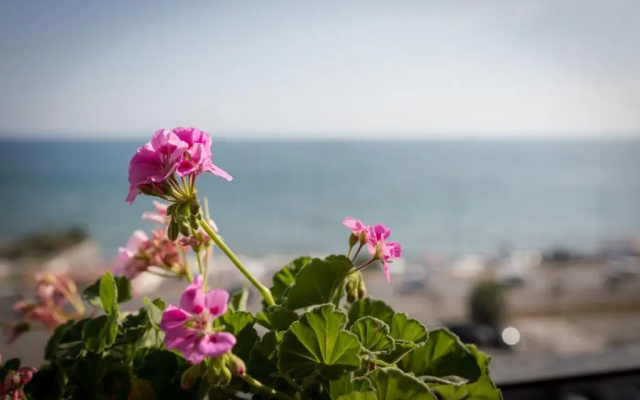 Salsedine Sea View