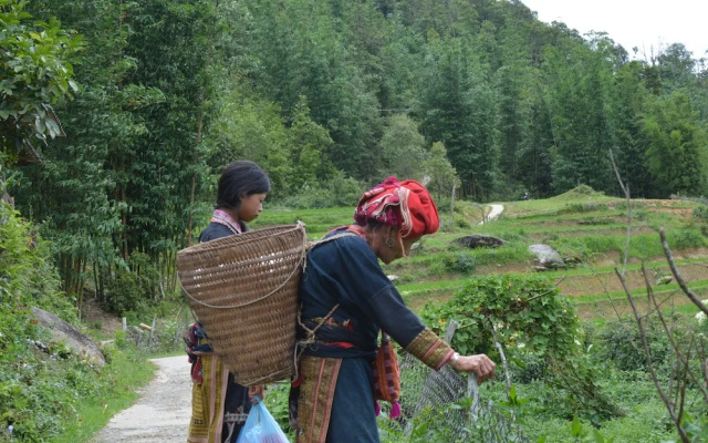 Sapa Homestay Trekking Tour For Backpackers