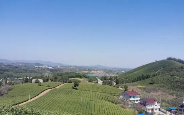 Happiness Farm