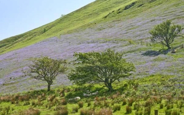 Pen y Bont