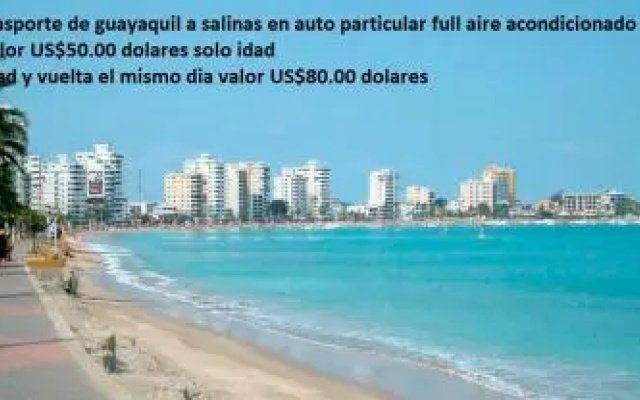 CASA suites el arbolito