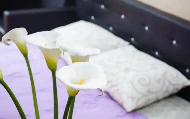 Bed & Breakfast Taurus Apartments