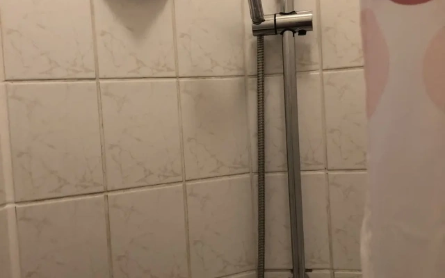 Bigus