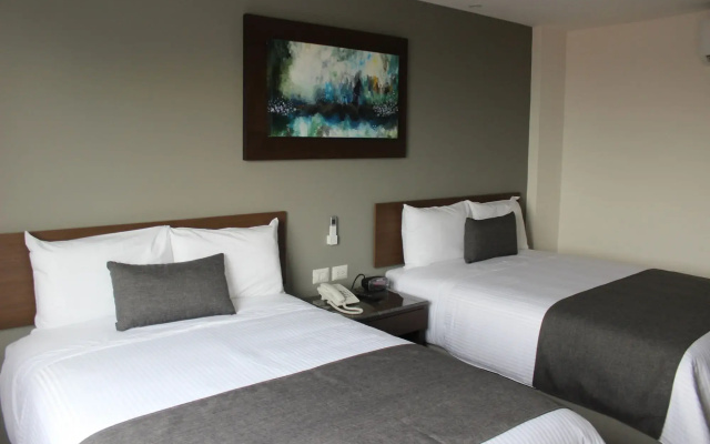 Eco Hotel Guadalajara Expo