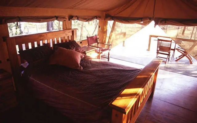 Jabiru Safari Lodge