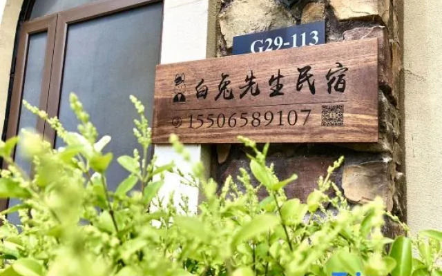 Mr. White Rabbit Guesthouse
