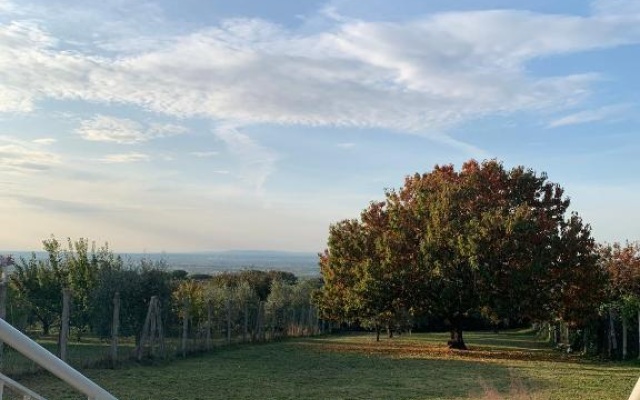 La terrazza sul ciliegio