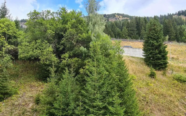 Studio Flaine, 1 pièce, 4 personnes - FR-1-425-182