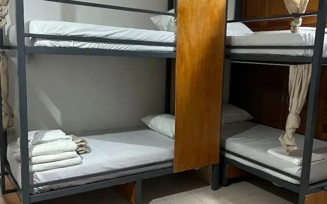 Treebu Hostel