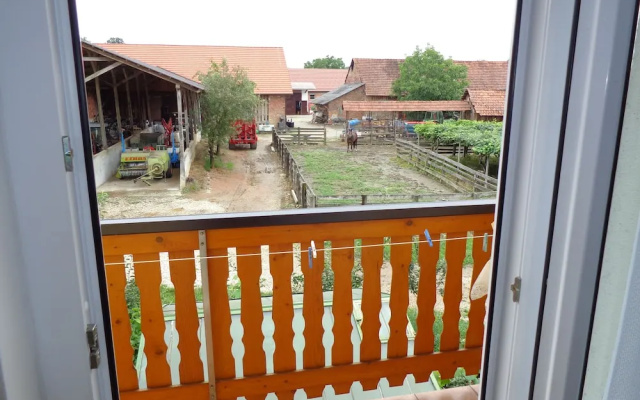 Tourist farm and beekeeping Salamun