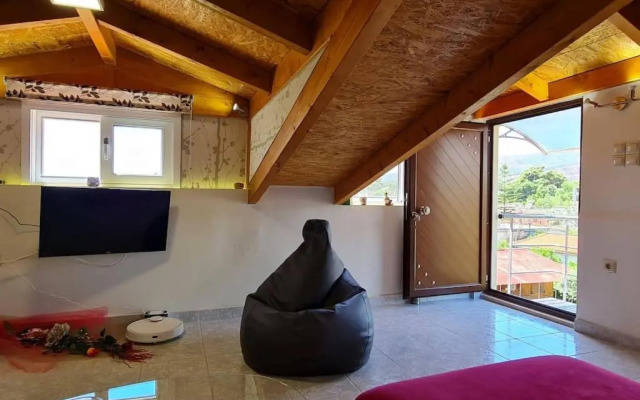 'The Swan 2' Amazing Attic with View !