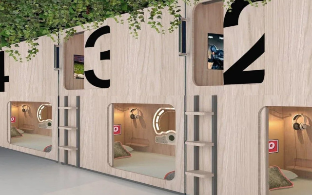 OYO The Capsule