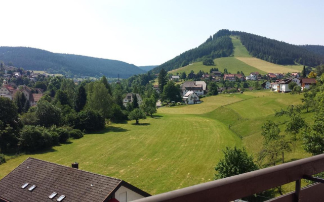 Panoramahotel Berghof