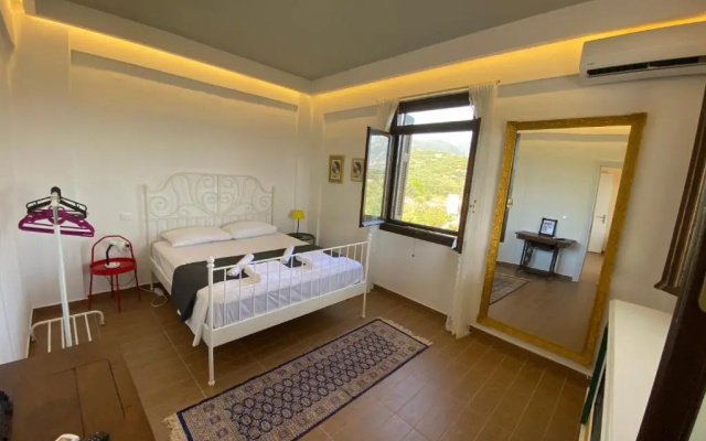 My Olive Tree House