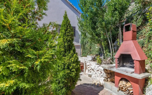 Apartment Mileta