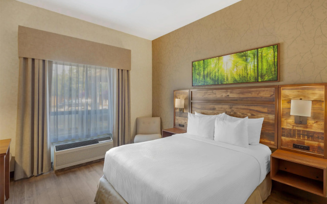 Best Western Plus Valemount Inn & Suites