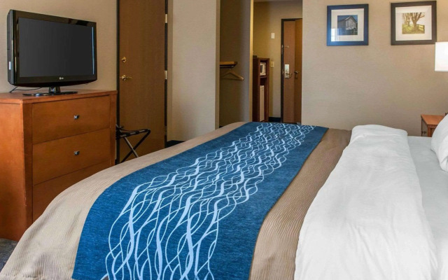 Comfort Inn & Suites Napoleon