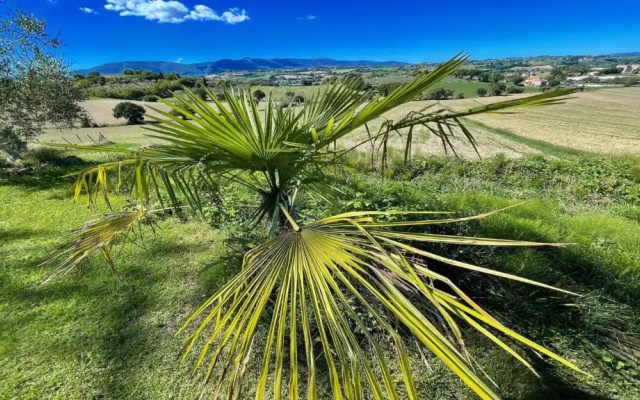 Exquisite Spoleto-poolside-sleeps-20pool, Jacuzzi, Gardens - Fabulous Views