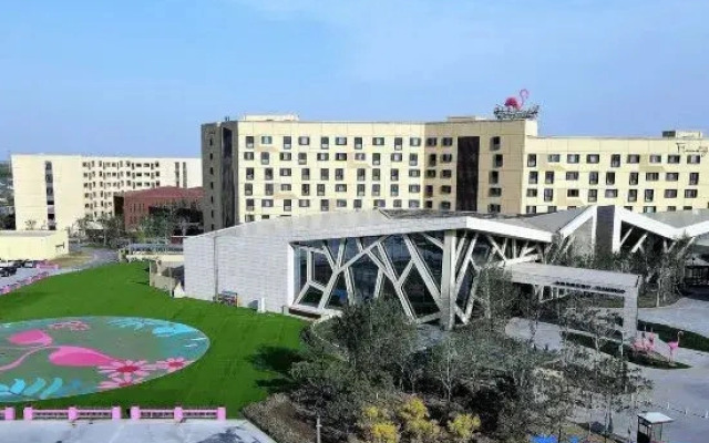 Flamingo Harbour Hotel