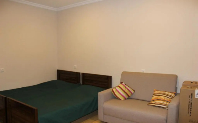 Comfortable Flat In The Center Of Borjomi