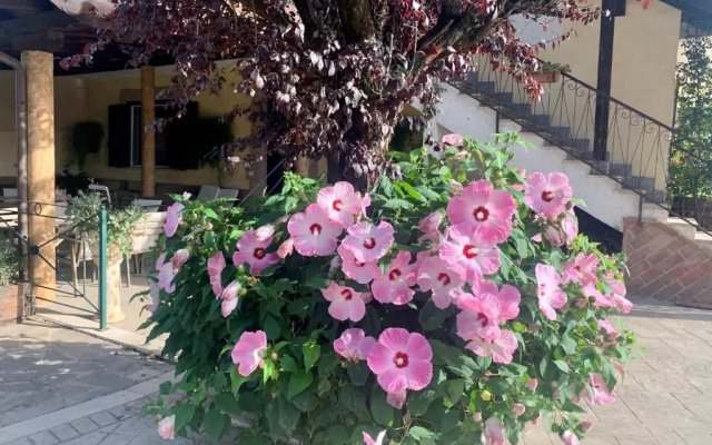 Residence Cerci
