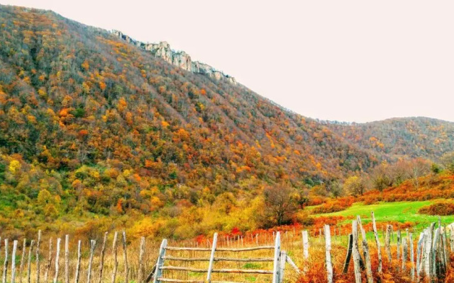 Discover Kinchkha