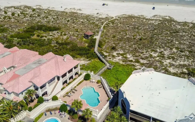 Hibiscus H104 in St Augustine
