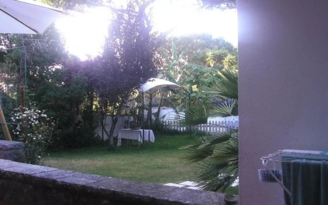 White House Cascais