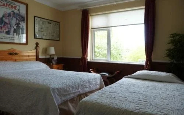 Ace Guest House