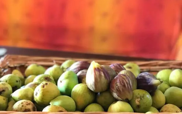 Agriturismo Casallario