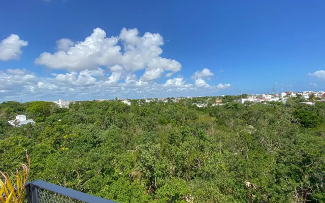 Roof top Condo - Privileged view - 100MbWfi