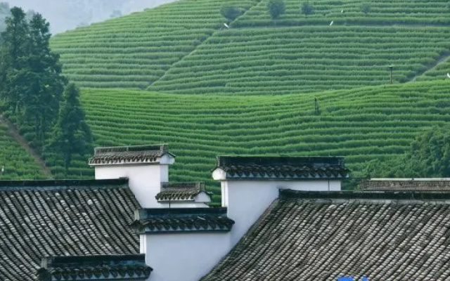 Anji Yunyu Homestay (White Tea Viewing Deck)