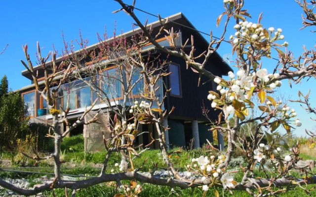 Kotare Bandb (Adults Only)
