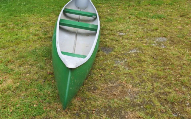 Skogstjerna (FJS085)