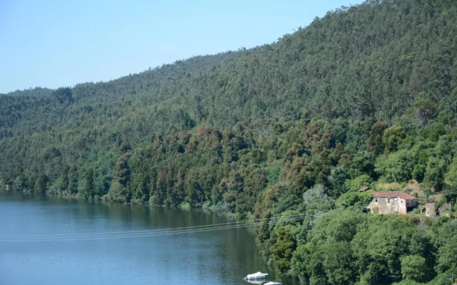 Figurino do Douro