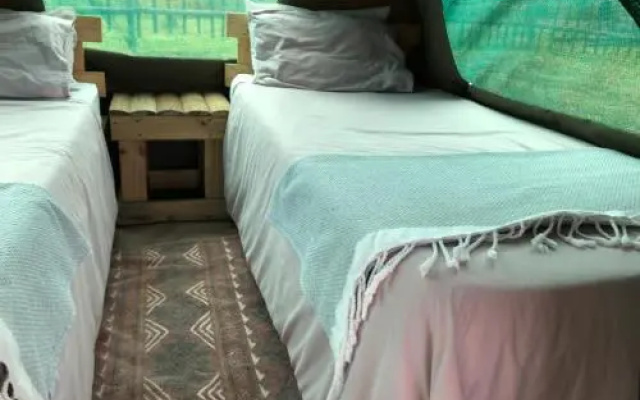 Manico Camp