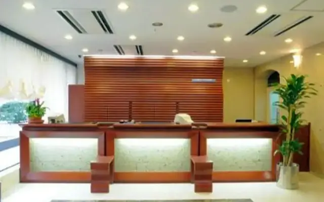 Hotel Shin Osaka / Vacation STAY 81532