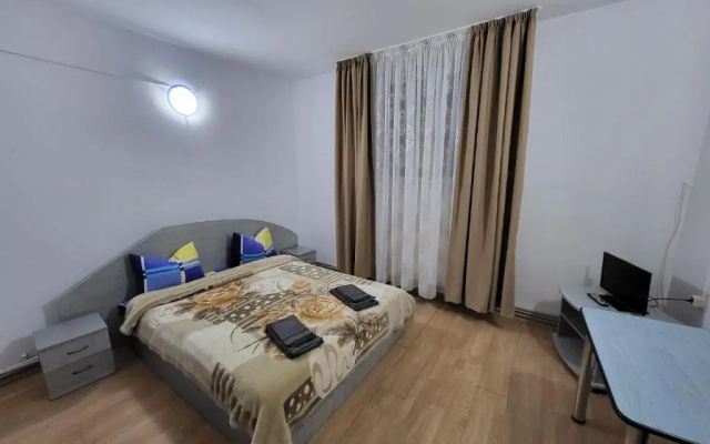 Vila 41 Busteni