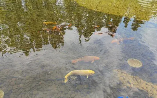 Hangzhou Xihu Scenic Area Hong'er Farm stay