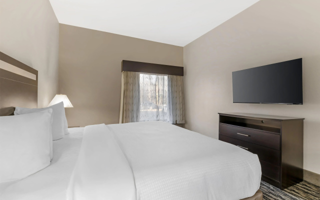 Best Western Plus McDonough Inn & Suites