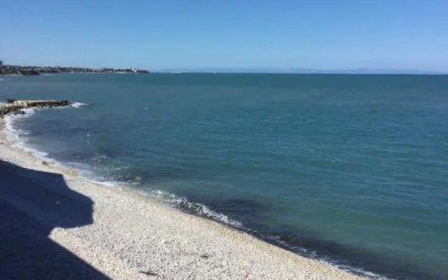 Scoglierauno