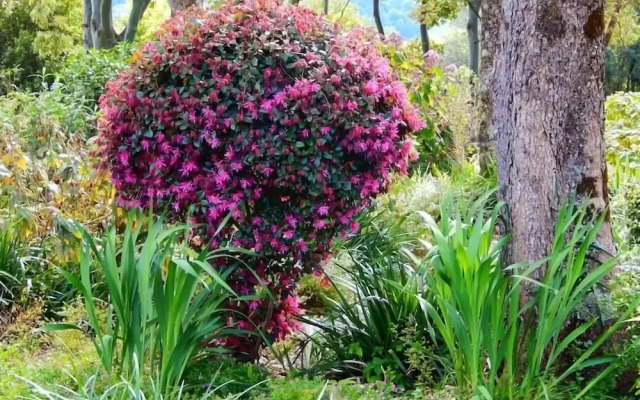 Riverbend Byron Hinterland Retreat
