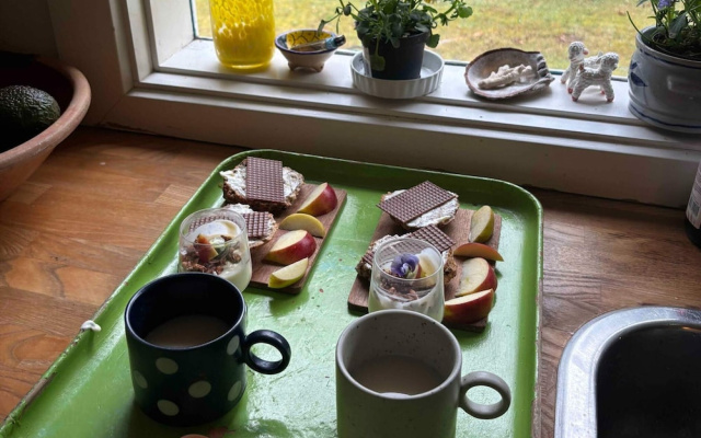 4 Star Holiday Home in Frederiksvaerk