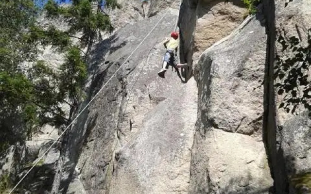 Röksvamp 3