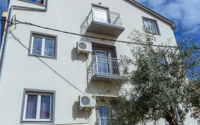 Apartments in City Center Ventus
